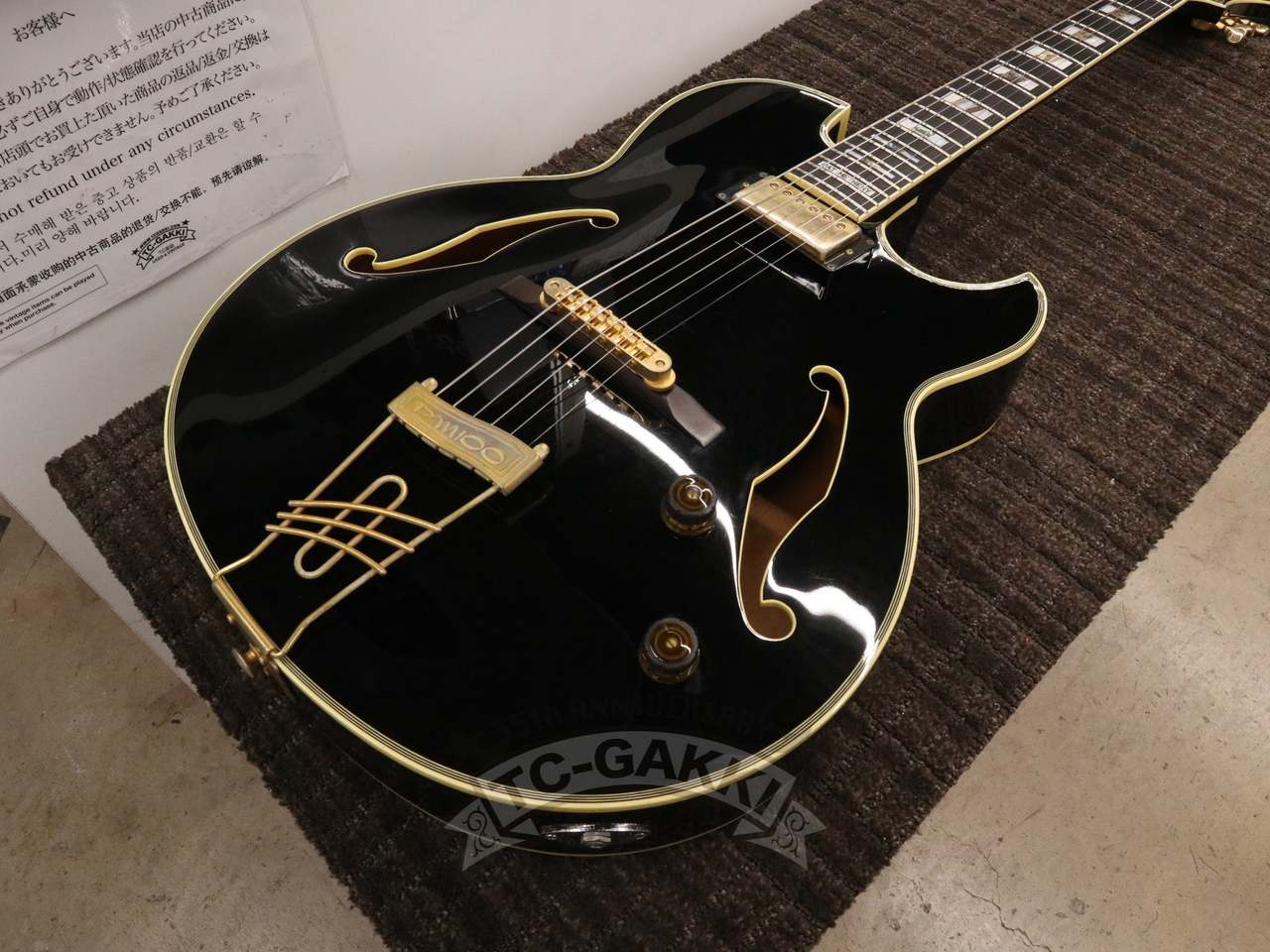 Ibanez PM-100 Pat Metheny Signature Japan - Guitar Shop