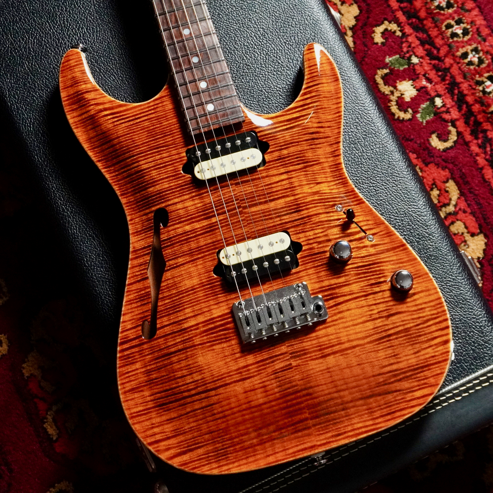 Guitar Gallery File.0018 / Kz One Semi-Hollow Round Top 24F