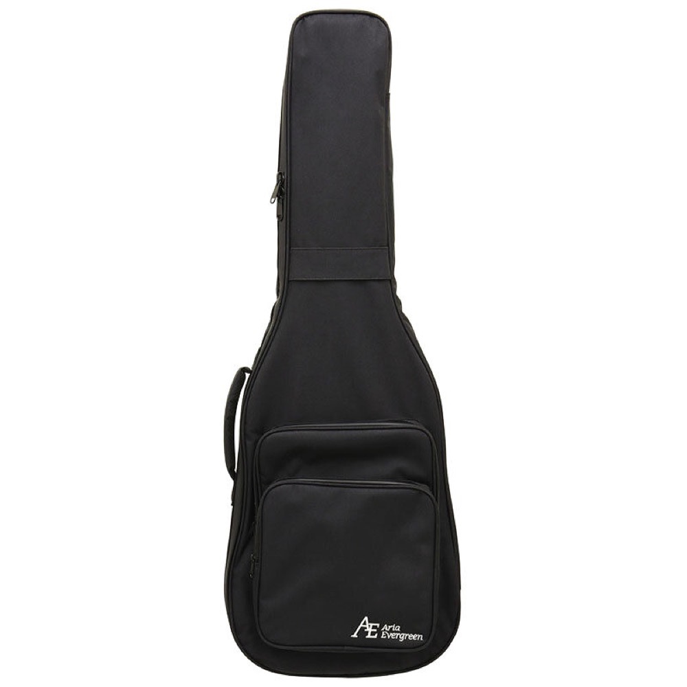 Aria Pro II PE-AE200 YG Aria Evergreen エレキギター（新品