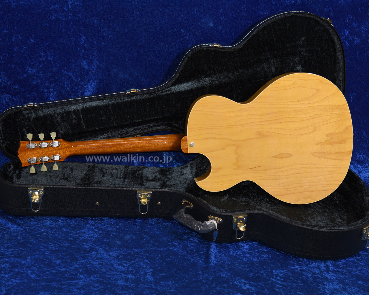 Archtop Tribute AT205MD（新品）【楽器検索デジマート】