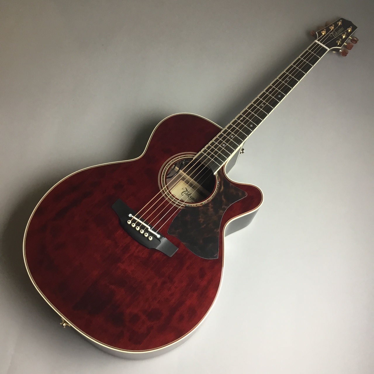 Takamine (タカミネ)DMP50S WR エレアコギター 【現物写真