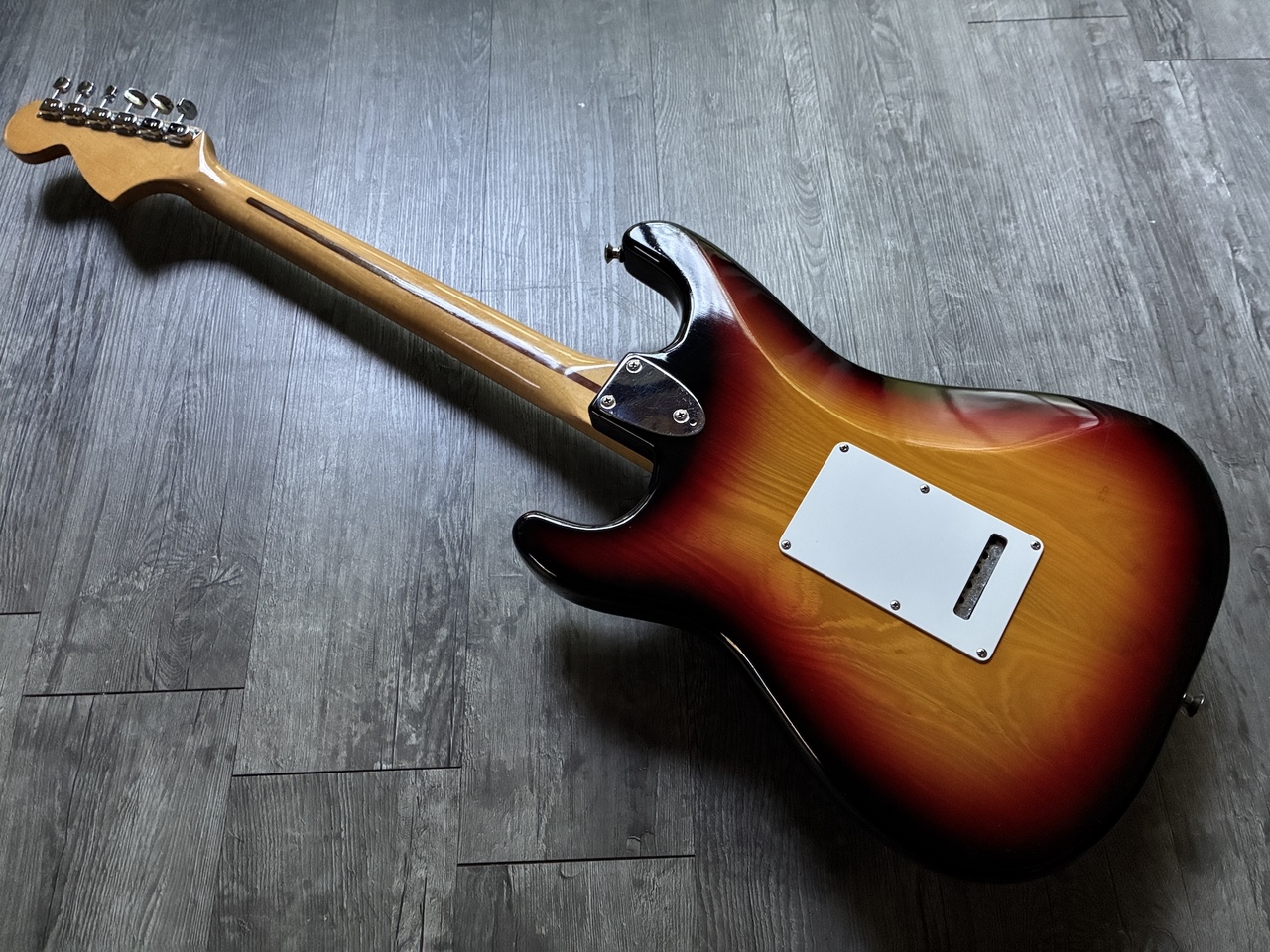 Tokai SS 