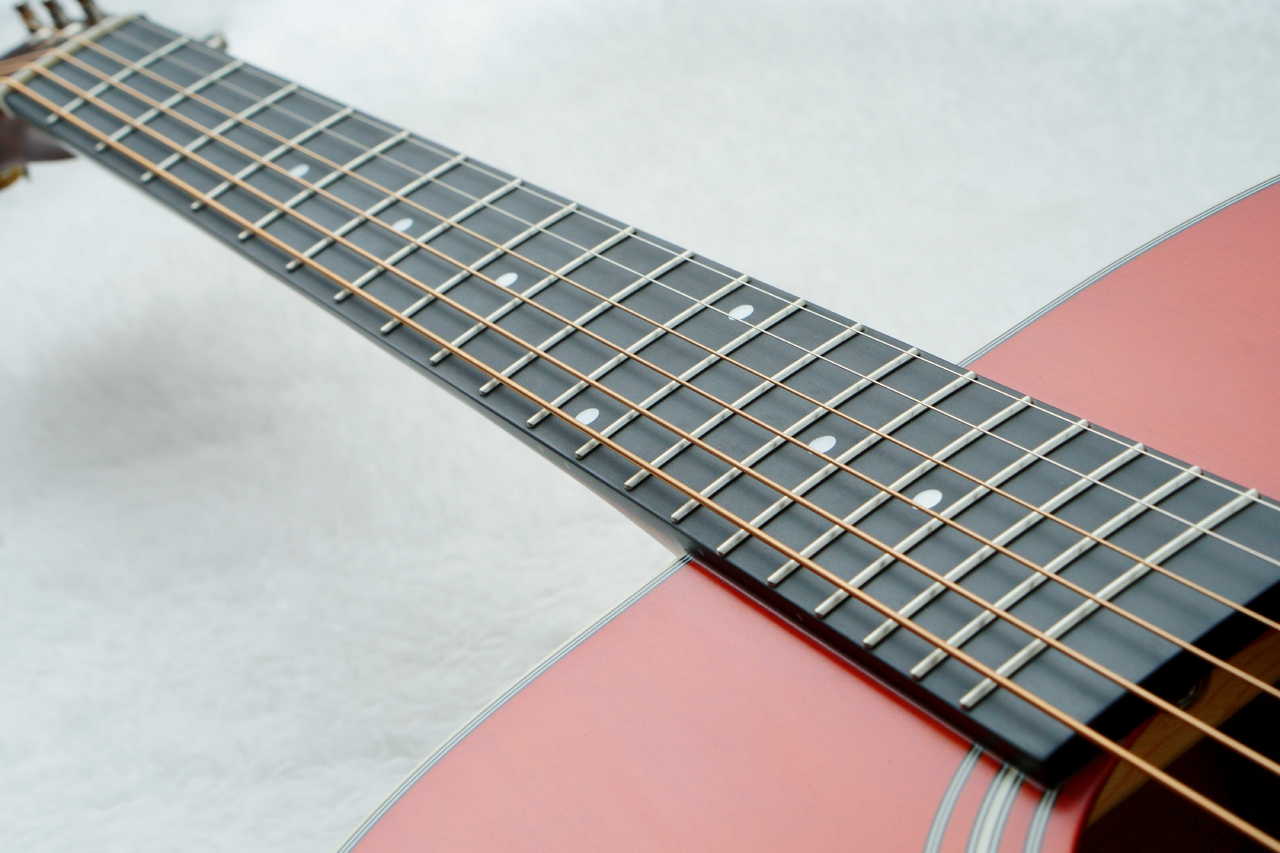 Stafford SF-3F -CS-【数量限定アクセサリーセット付!】【ビギナーにお