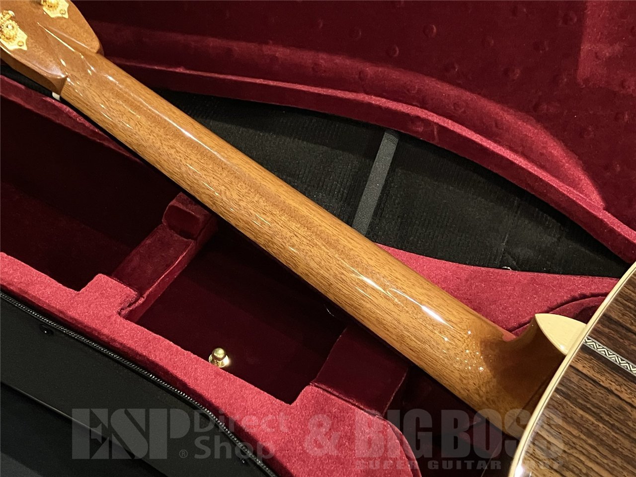 ASTURIAS E.C. CUSTOM 【Limited Model】（新品/送料無料）【楽器検索