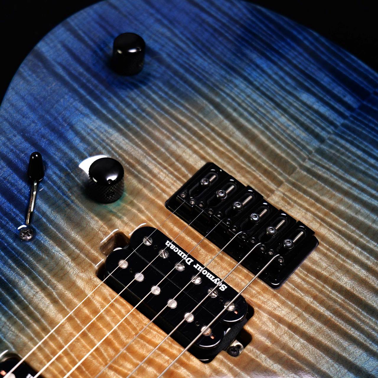 【値下げ】Mayones regius6 ケース2種【書類追加しました】 MAYONES Regius 6 Custom Spalted Maple Top [TK717] - 中古楽器
