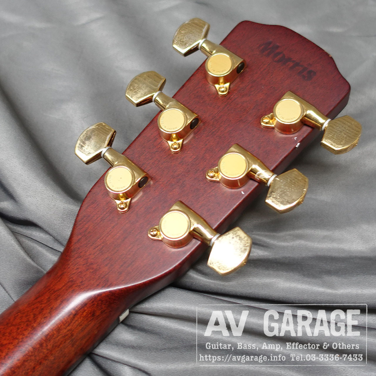 Morris アコースティックギター アコースティックギター】Morris(モーリス)楽器フェア2018限定