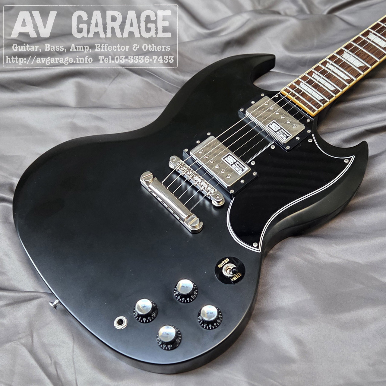 EDWARDS E-SG-100LT2（中古）【楽器検索デジマート】