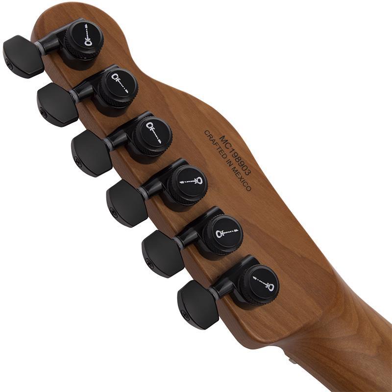 Charvel Pro-Mod So-Cal Style 2 24 HH 2PT CM Ash (Black Ash