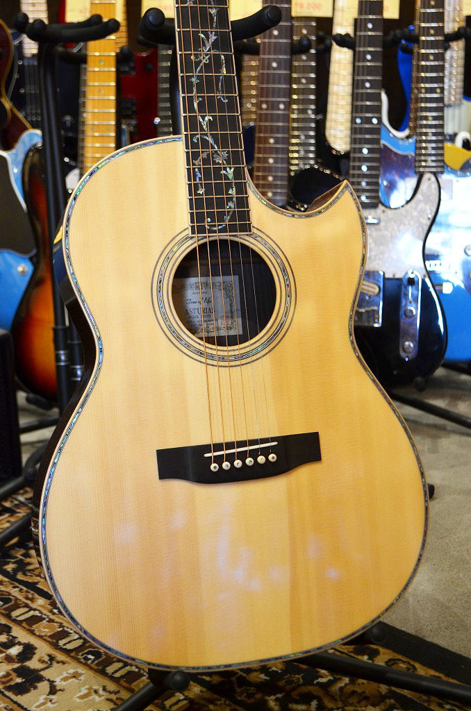 ギター Asturias ,Tree'of.Life. ASTURIAS:Tree of Life