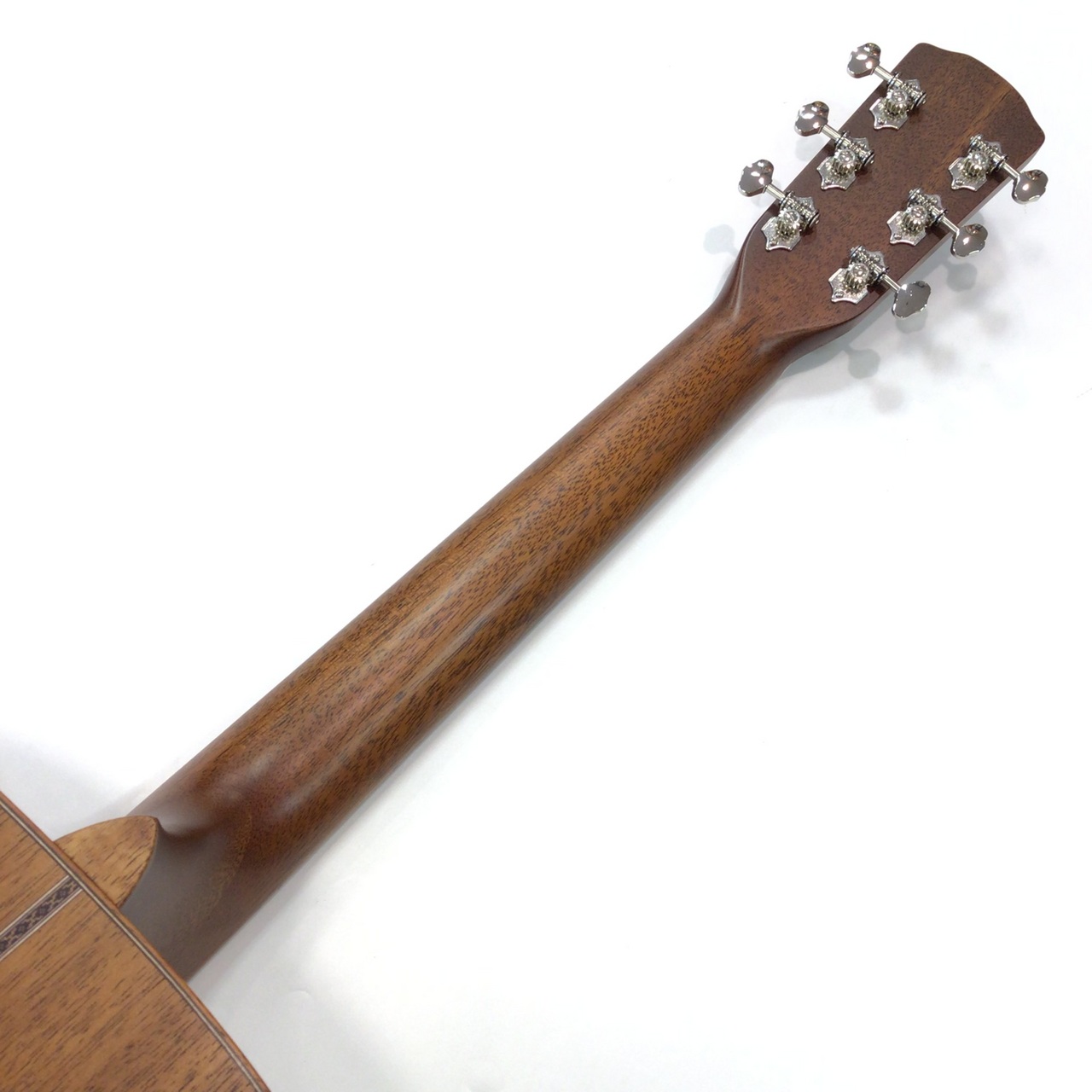 Morris FLB-80 DV【日本製】【オール単板】（新品特価/送料無料