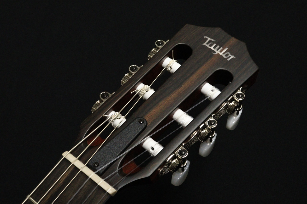 Taylor 314ce-N Nylon String 【Discontinued】（新品/送料無料）【楽器検索デジマート】