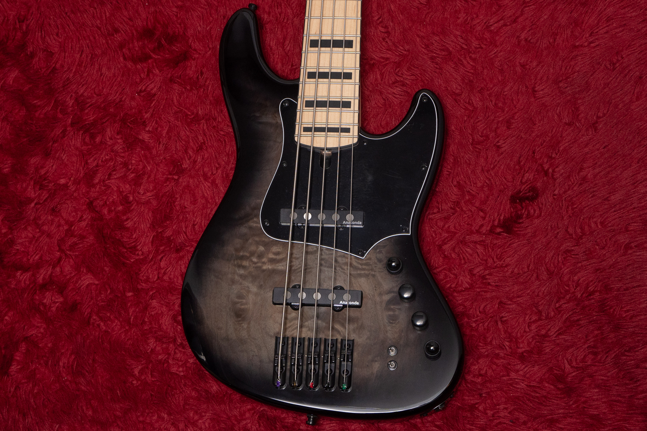 Anaconda Basses Ultra J5 (Black Burst) 4.365kg #24000046V2【GIB