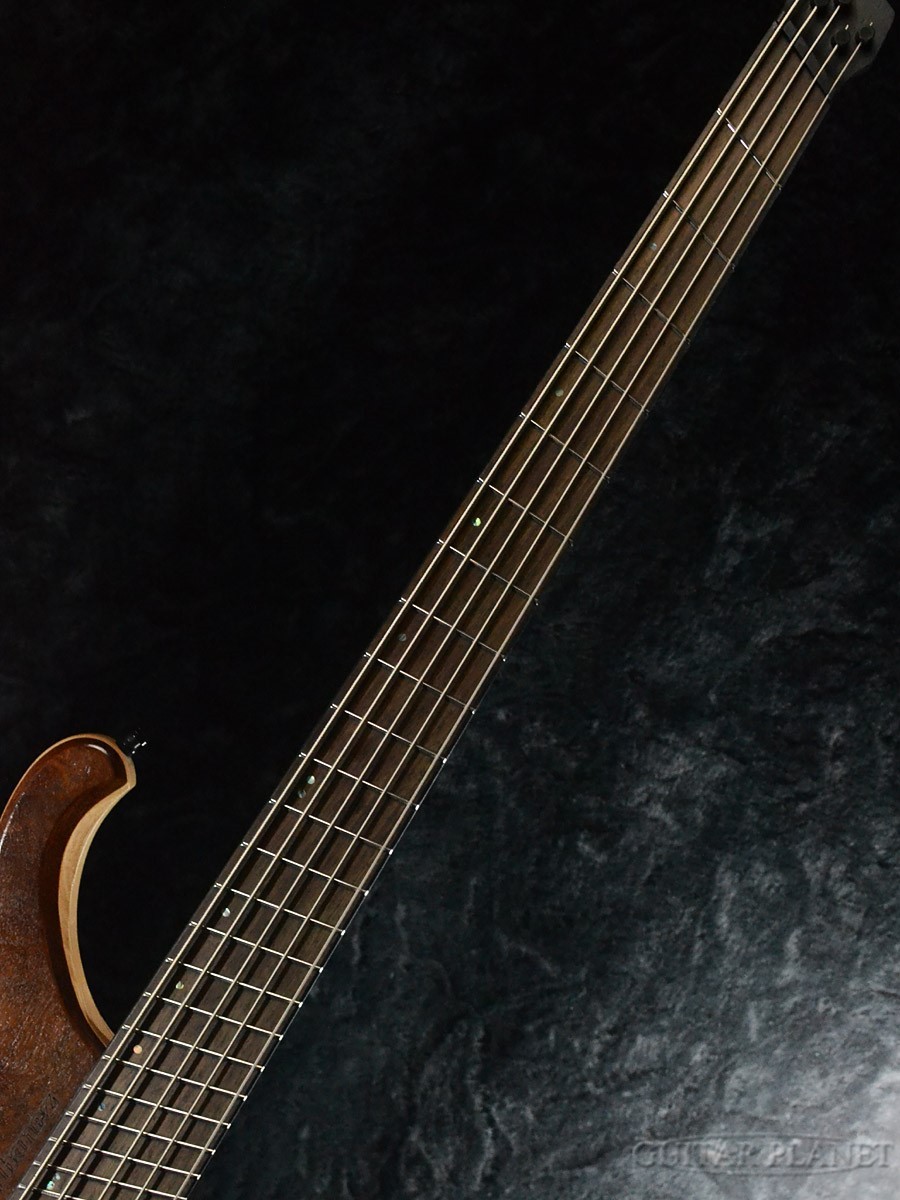 Ibanez EHB1265MS -NML (Natural Mocha Low Gloss)-【限定生産モデル