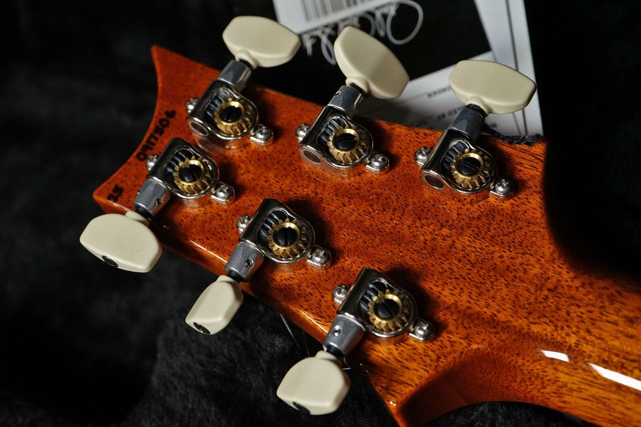 Paul Reed Smith(PRS) CUSTOM 24 PIEZO CC(Charcoal Cobalt Wrap Burst