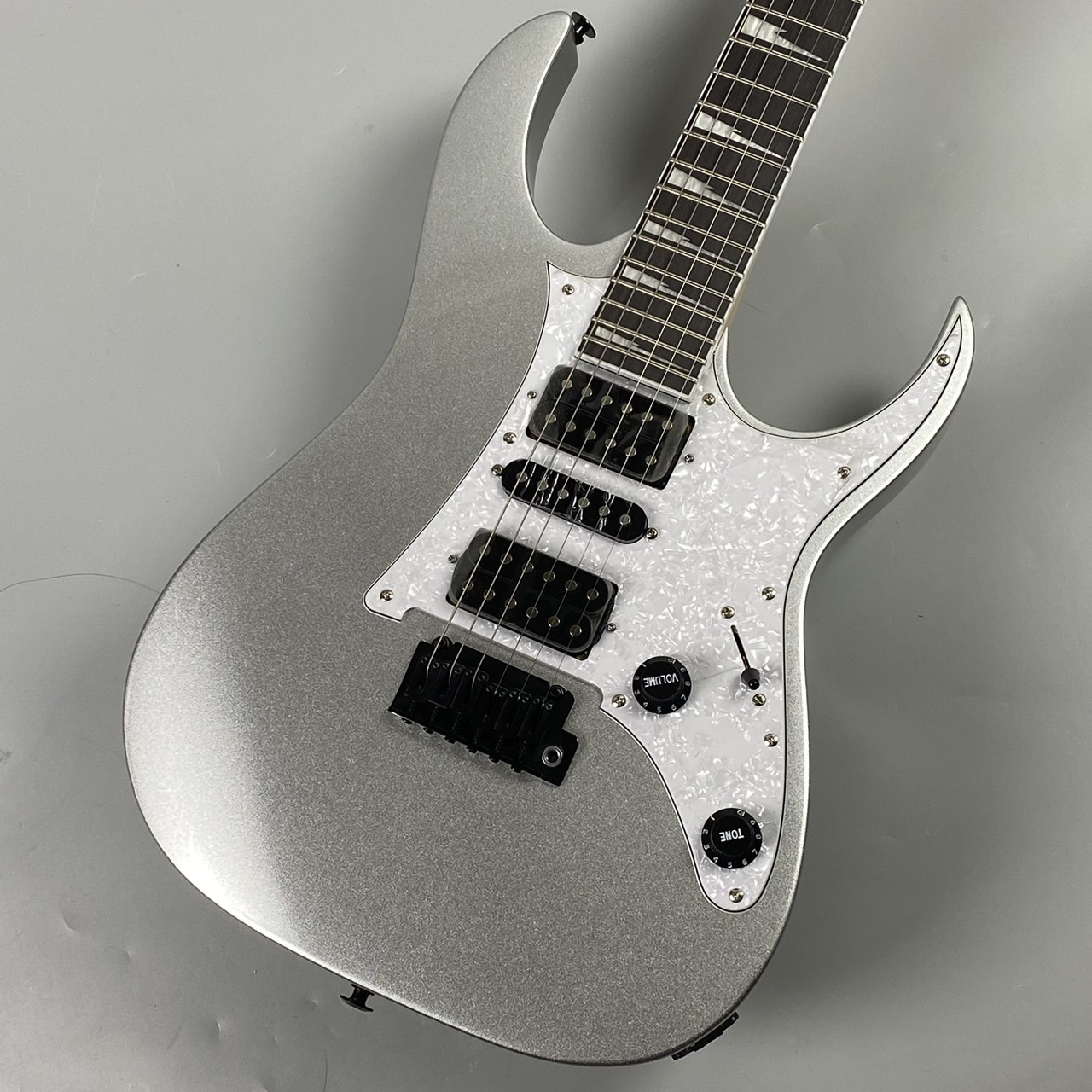 Ibanez RGV250 SV シルバー エレキギター 【現物写真】（新品/送料無料）【楽器検索デジマート】