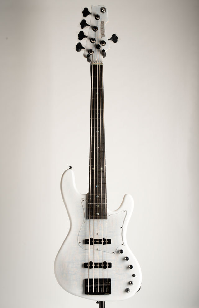 FREEDOM CUSTOM GUITAR RESEARCH Rhino 5st Crushed Figured Maple Top