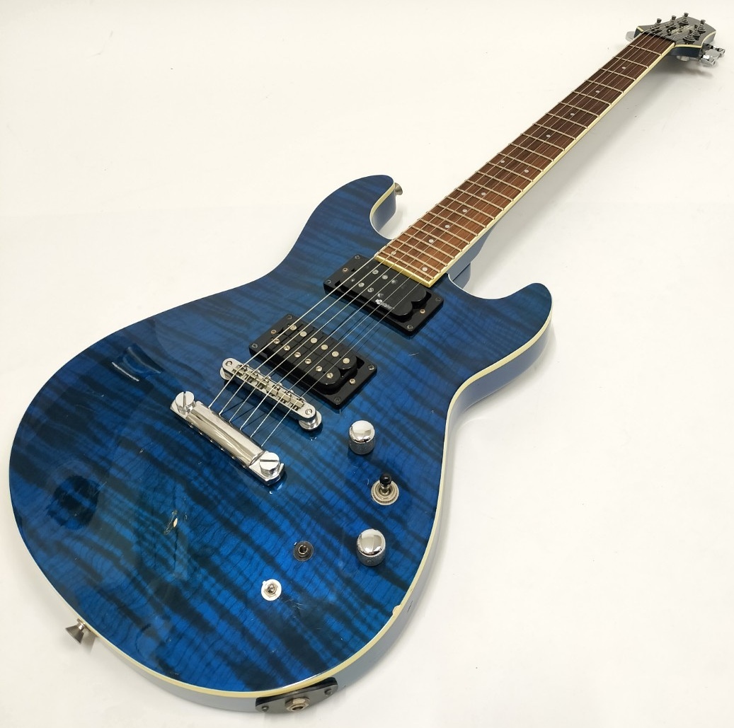 FERNANDES APG-55S サスティナー sustainer エレキギター - 楽器、器材