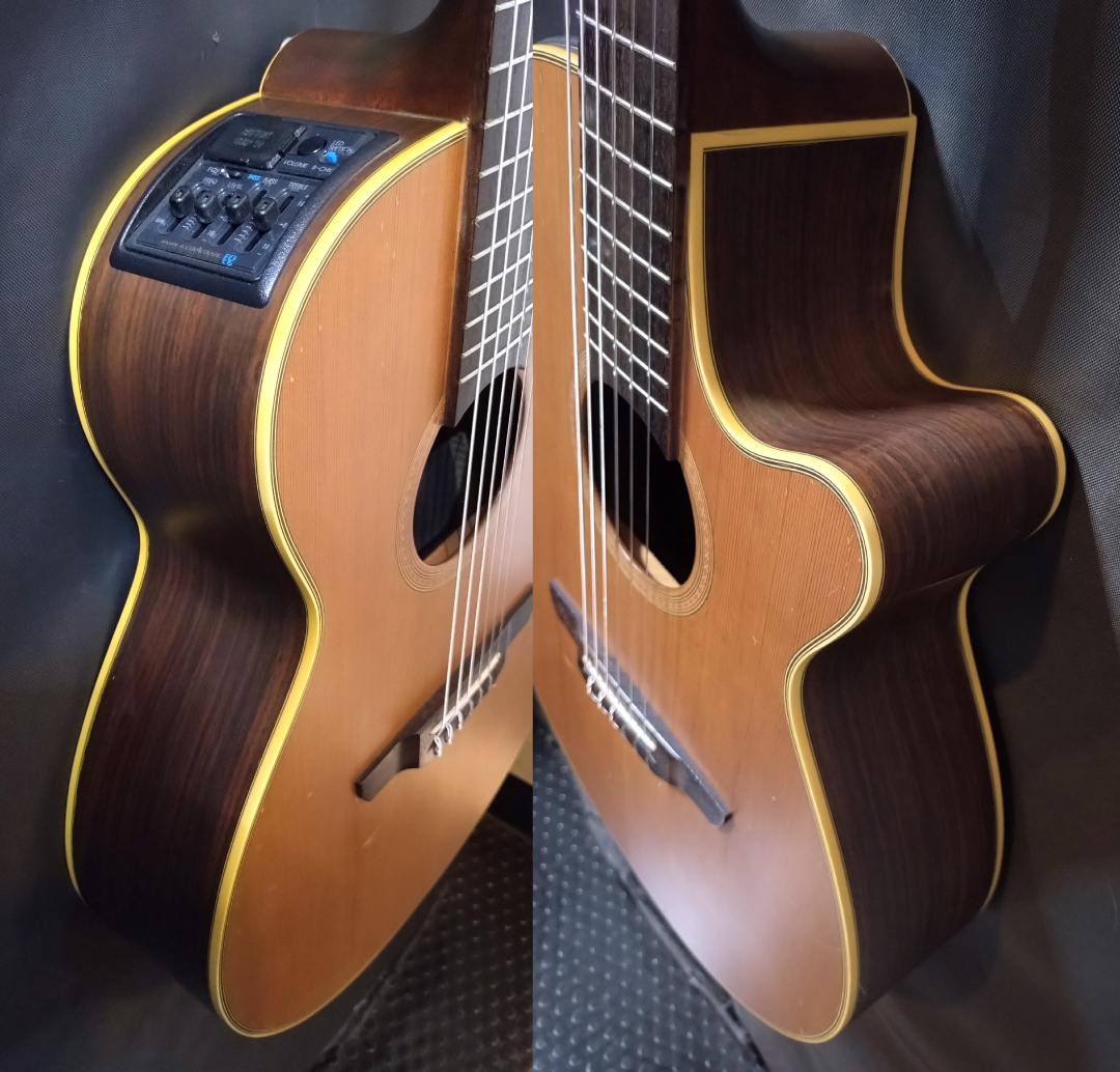 Takamine NPT-110N（中古）【楽器検索デジマート】