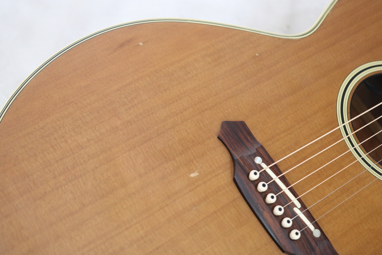 Takamine NPT-510（中古）【楽器検索デジマート】