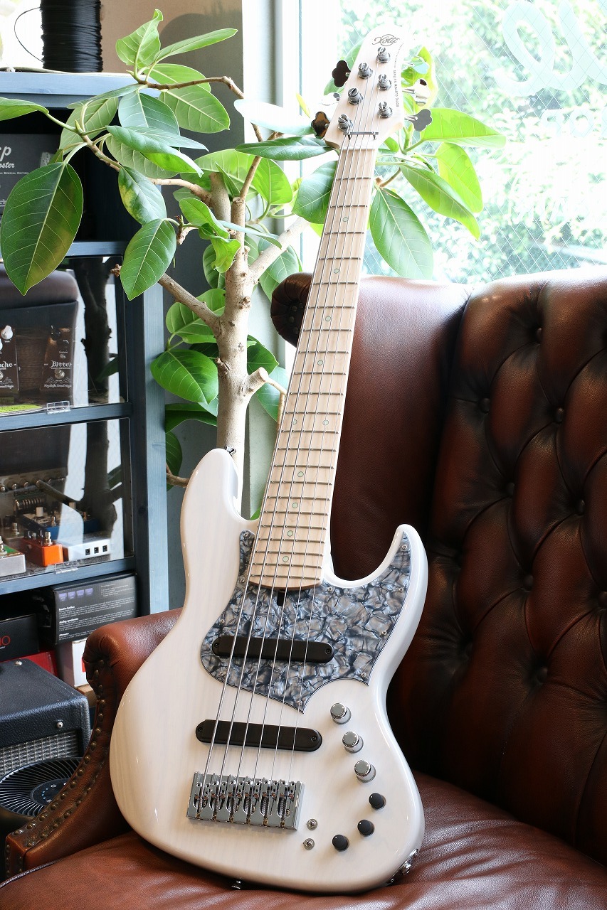 Xotic XJ-1T 6st White Blonde #3867（新品/送料無料）【楽器検索