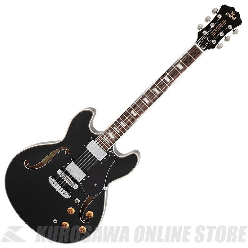 Aria Pro II TA-550　セミアコースティックギター／ソフトケース付 Aria Proll ProII TA-200 BK(Black) セミアコースティックギター