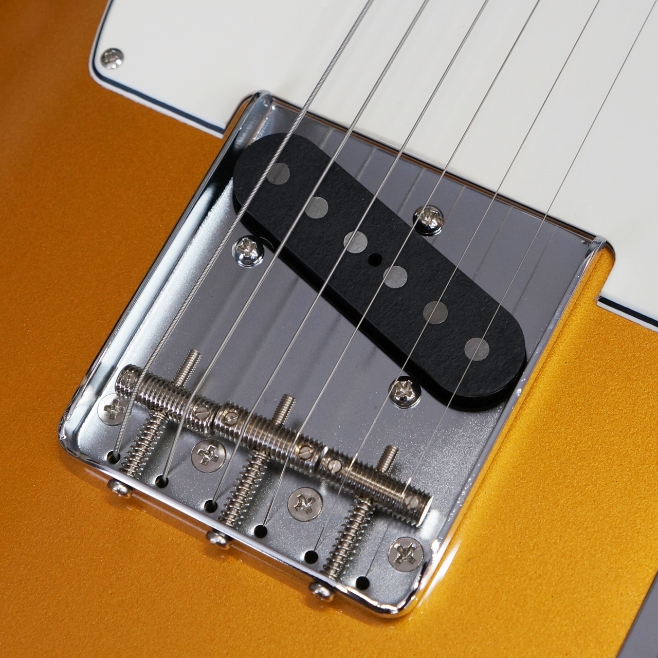 EDWARDS E-TE-CTM GOLD（新品/送料無料）【楽器検索デジマート】