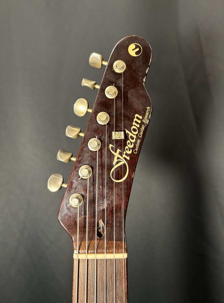 FREEDOM CUSTOM GUITAR RESEARCH Black Pepper 2008年製（中古）【楽器