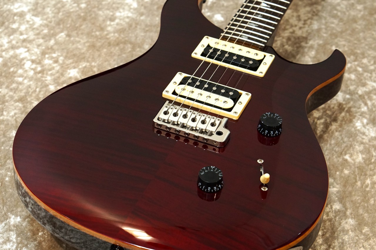 Paul Reed Smith(PRS) SE Custom 24 -Black Cherry-【USED】（中古