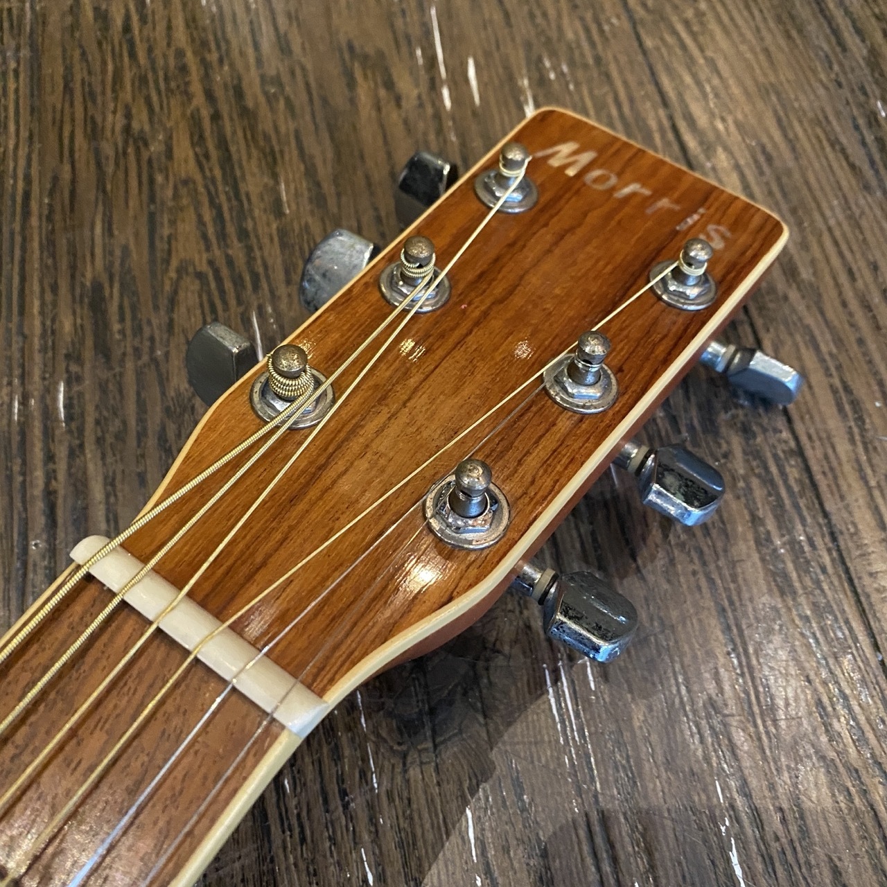 Morris MD-507 Acoustic Guitar（中古/送料無料）【楽器検索デジマート】