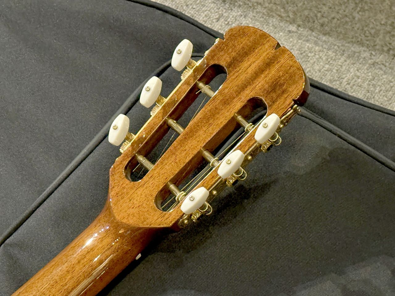 ARIA The Sandpiper SPD-120CE（中古）【楽器検索デジマート】