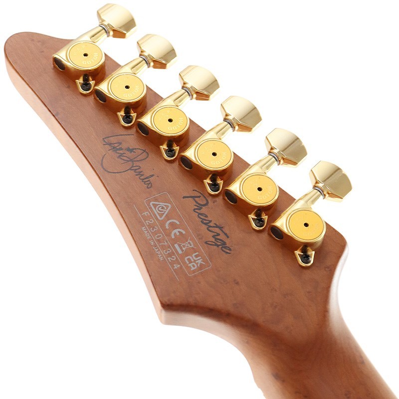 Ibanez LB1-VL [Lari Basilio Signature Model]（新品）【楽器検索