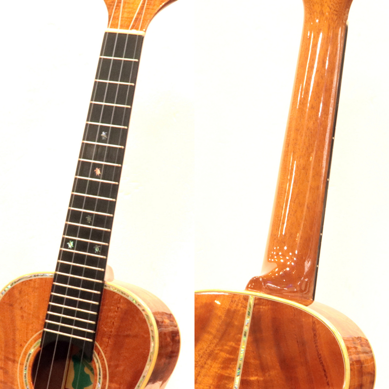 BIG ISLAND Deluxe HONU XXX Series Concert KXXX-CTS（中古