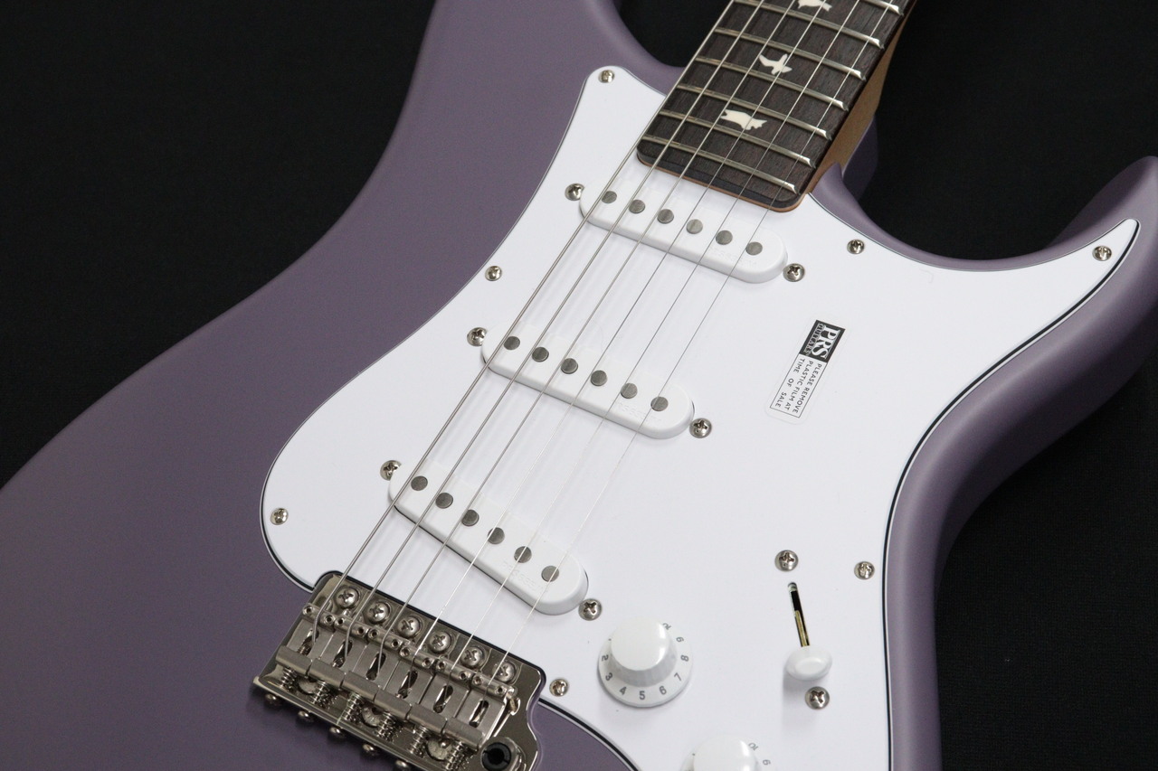 Paul Reed Smith(PRS) SILVER SKY Rosewood Black Plum Satin 【NEW