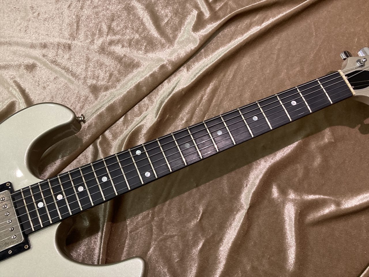 Greco AG-1000 / THE YELLOW MONKEY 