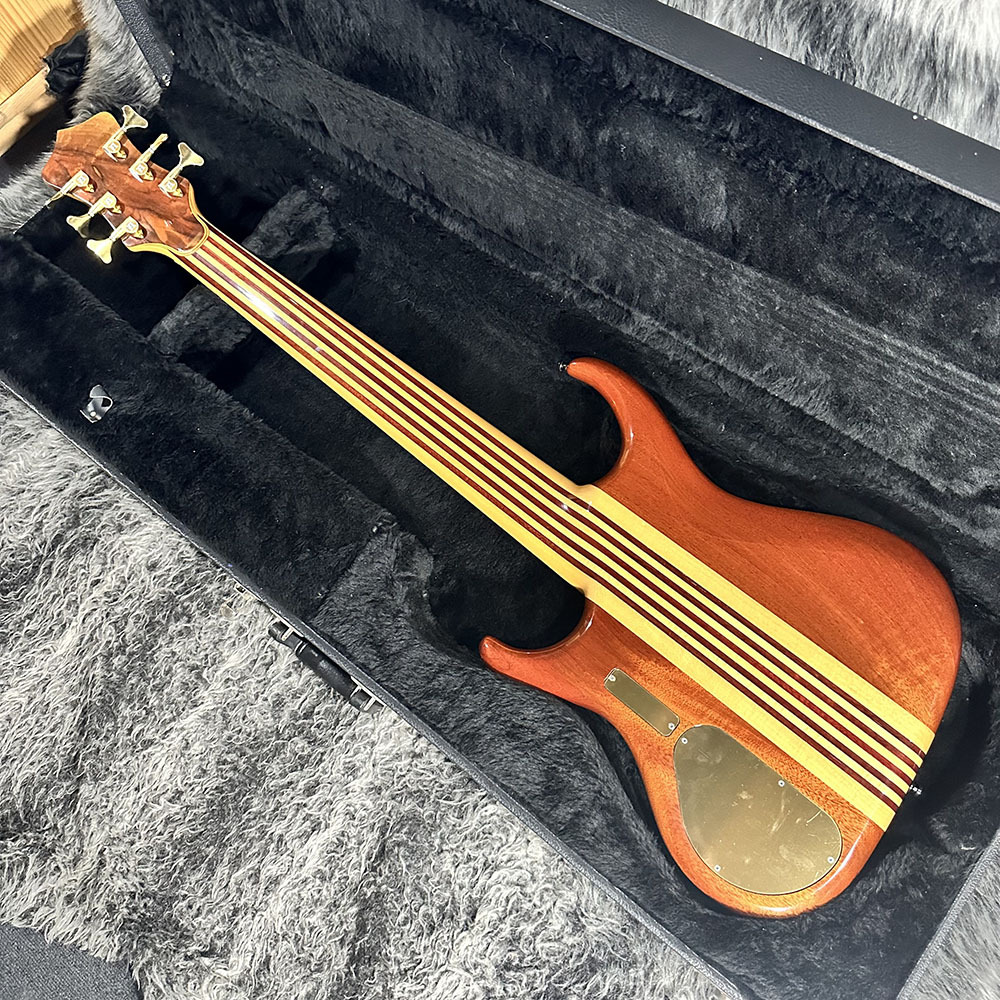 ALEMBIC Europa 6st FL（中古/送料無料）【楽器検索デジマート】