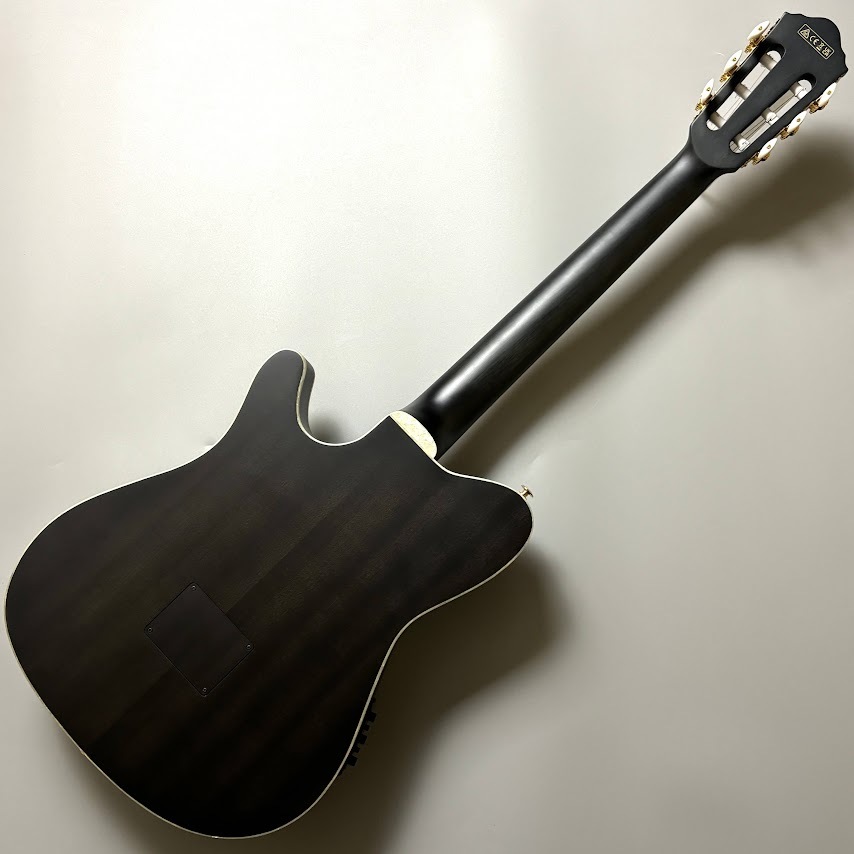 Ibanez TOD10N TKF エレガット Tim Henson Signature ティムヘンソン