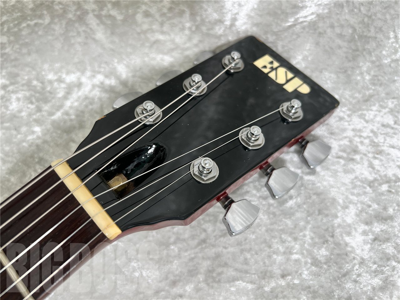 ESP 助六　イグアナ No.02 ESP 助六 | Ken Yokoyama(Band) OFFICIAL SITE