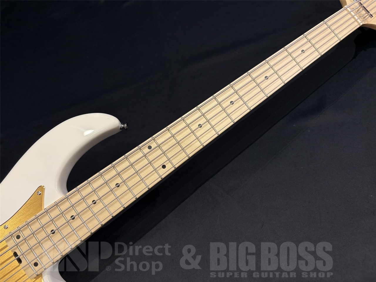 Aria Pro II Aria Pro II RSB-618/5 / White（新品/送料無料）【楽器