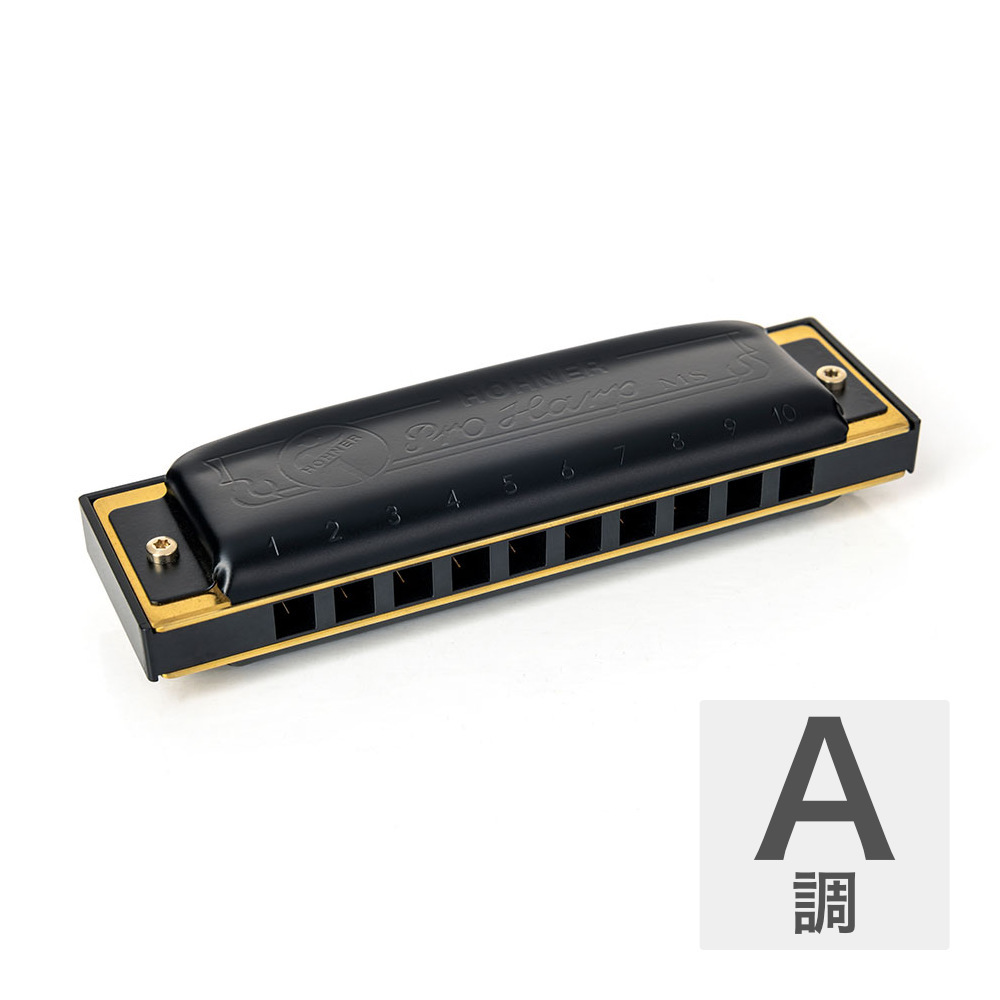 Hohner ホーナー Pro Harp 562/20P A 10ホールハーモニカ ブルース