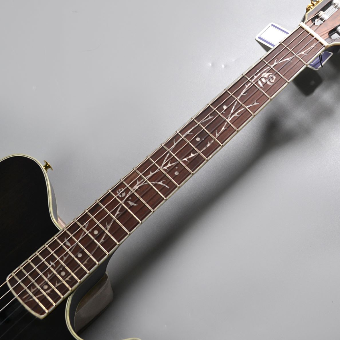 Ibanez TOD10N TKF ティムヘンソン シグネチャー（B級特価/送料無料