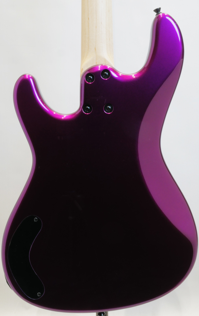 FREEDOM CUSTOM GUITAR RESEARCH C.S Blowzer 4st Succubus (SCB