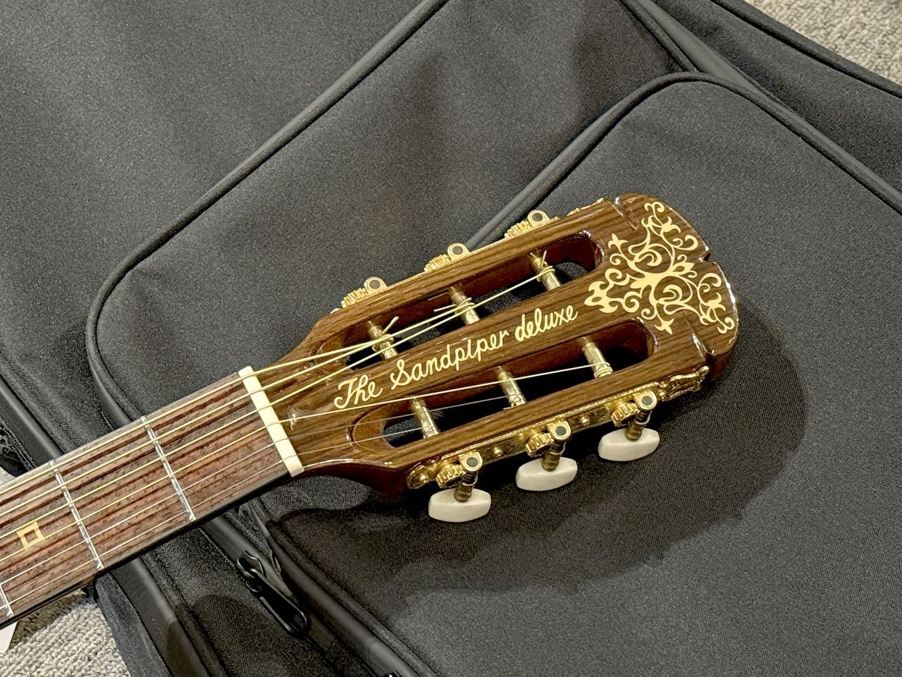 ARIA The Sandpiper SPD-120CE（中古）【楽器検索デジマート】