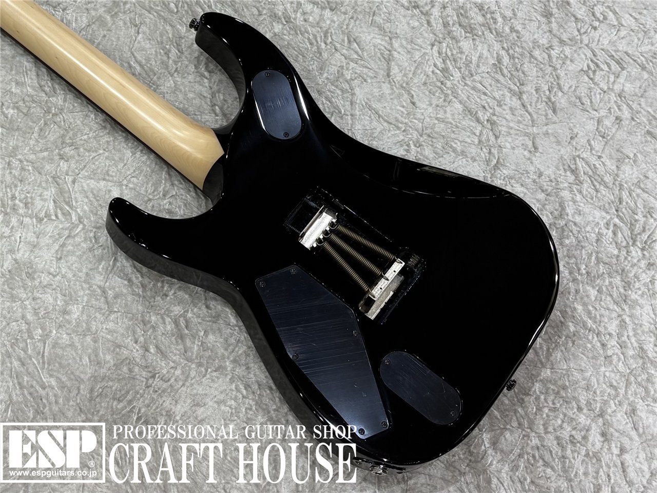 O.Z.Y Takamiy's Guitar / Black w/Red bevel（新品/送料無料