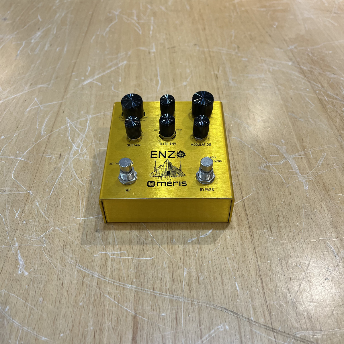 meris Enzo Pedal 店頭展示機（中古/送料無料）【楽器検索