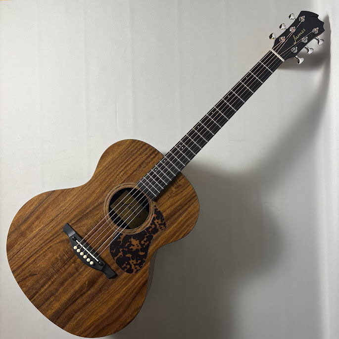 James J-100A MHT アコースティックギター ギグケース付属 マホガニー
