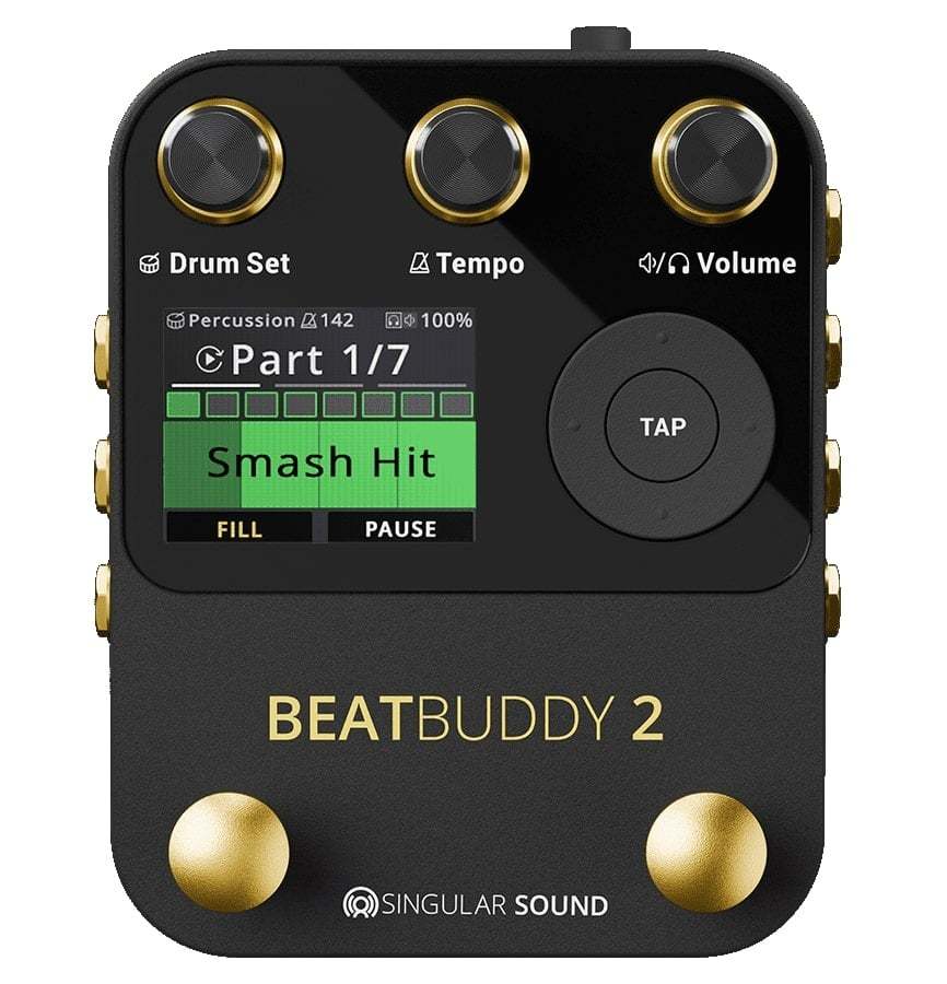 Singular Sound BEATBUDDY 2 + SuperSwitch 専用フットスイッチ同時