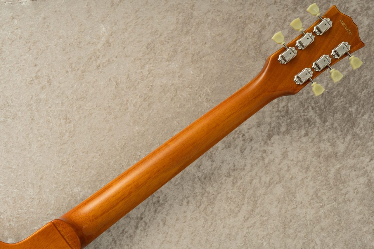 EDWARDS E-LP-STD/P -Gold- #ED8762243 【旧定価】【マルコと