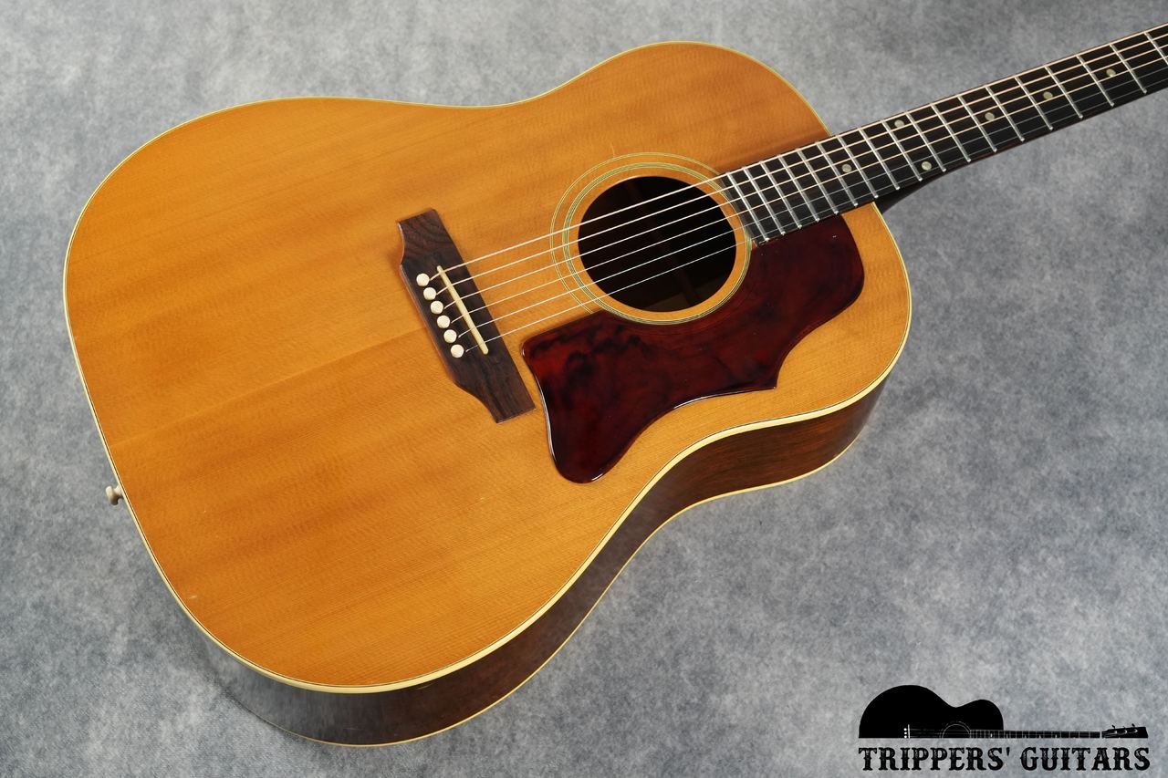 Gibson J-50 (1969)（ビンテージ）【楽器検索デジマート】