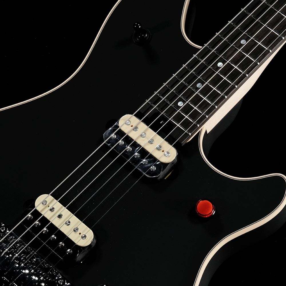 エレキギター　オリジナル　EVH風　材料費19万 EVH Wolfgang USA Edward Van Halen Signature, Ebony Fingerboard