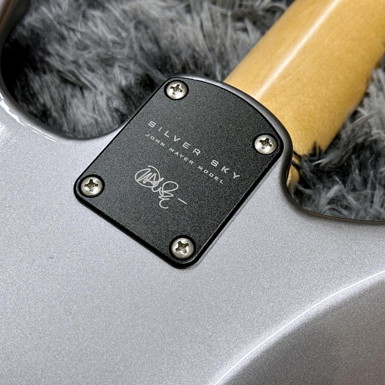 Paul Reed Smith(PRS) Silver Sky Rosewood Tungsten -John Mayer